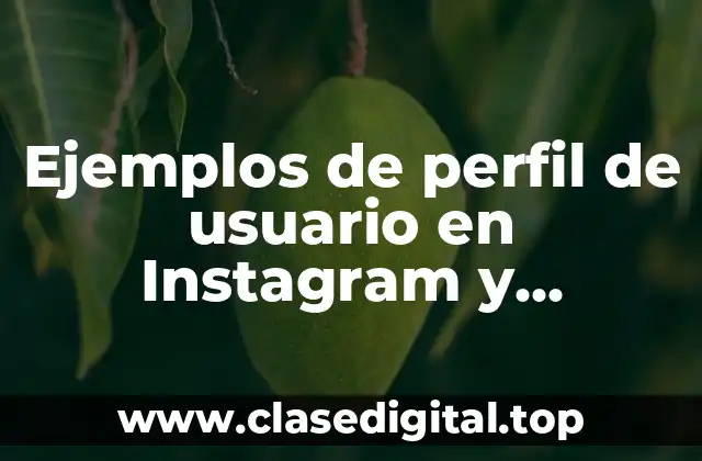 Ejemplos de perfil de usuario en Instagram y Significado