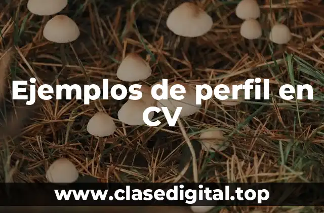 Ejemplos de perfiles en CV