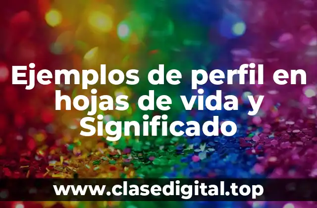Ejemplos de perfil en hojas de vida y Significado