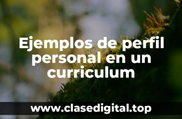 Ejemplos de perfil personal en un curriculum