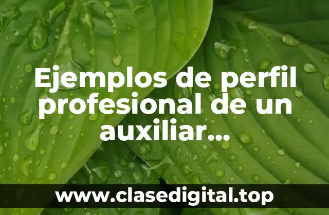 Ejemplos de perfil profesional de un auxiliar administrativo