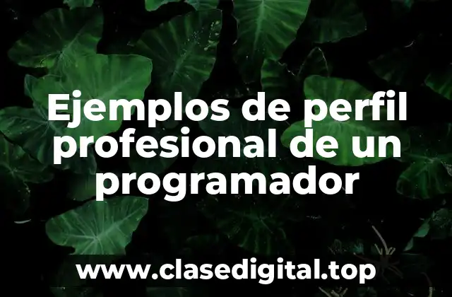 Ejemplos de perfil profesional de un programador
