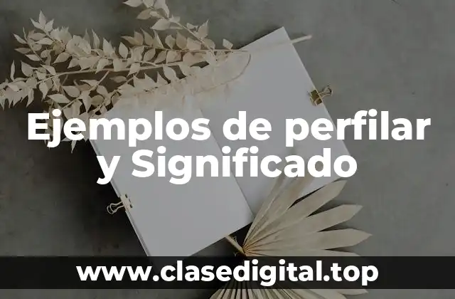 Ejemplos de perfilar y Significado