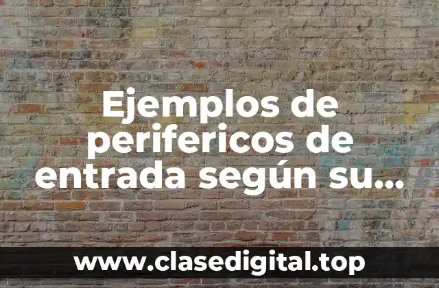 Ejemplos de perifericos de entrada según su función en informática