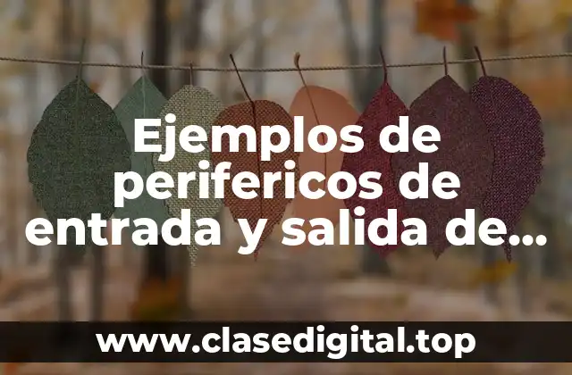 Ejemplos de perifericos de entrada y salida de una computadora