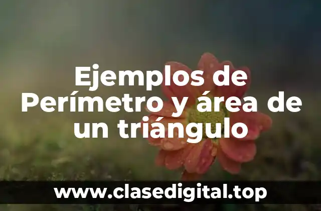 Ejemplos de Perímetro y área de un triángulo