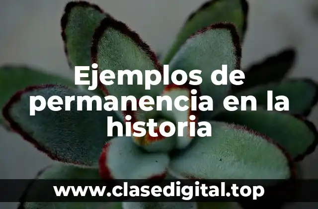 Ejemplos de permanencia en la historia