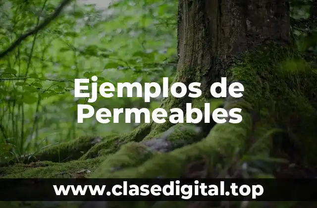 Ejemplos de Permeables