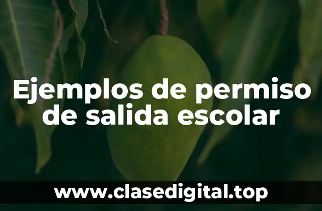 Ejemplos de permiso de salida escolar