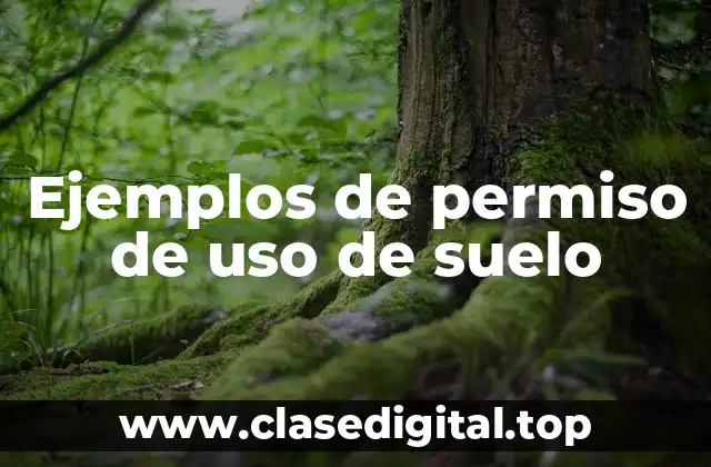 Ejemplos de permiso de uso de suelo