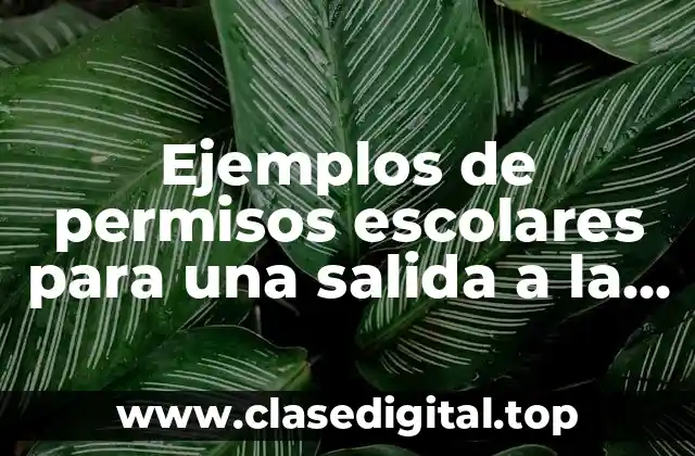 Ejemplos de permisos escolares para una salida a la comunidad y Significado