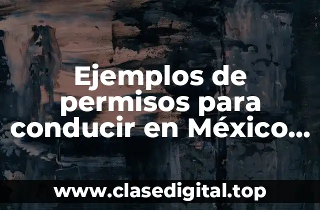 Ejemplos de permisos para conducir en México sin ser residentes