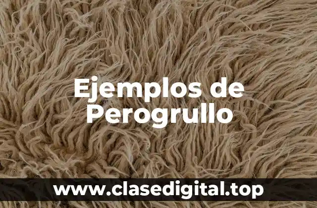 Ejemplos de Perogrullo