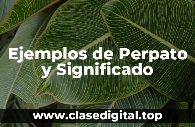 Ejemplos de Perpato y Significado