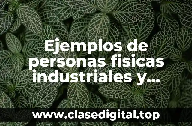 Ejemplos de personas fisicas industriales y Significado