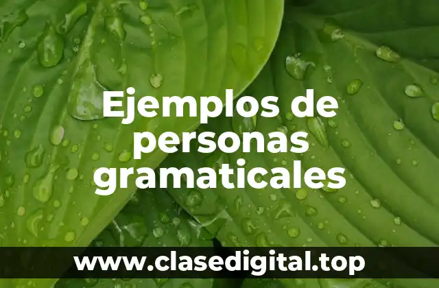 Ejemplos de personas gramaticales