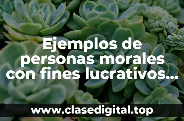 Ejemplos de personas morales con fines lucrativos y Significado