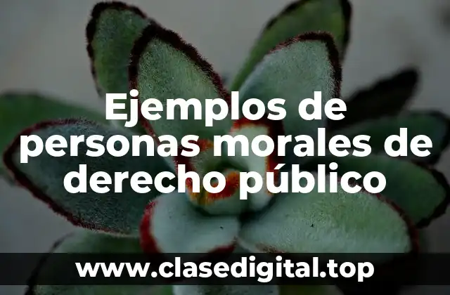 Ejemplos de personas morales de derecho público