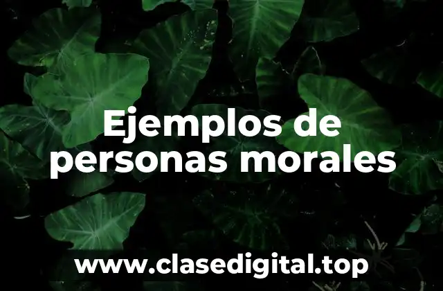 Ejemplos de personas morales