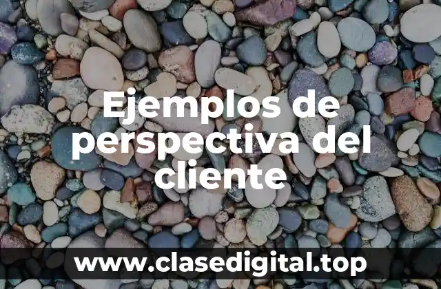 Ejemplos de perspectiva del cliente