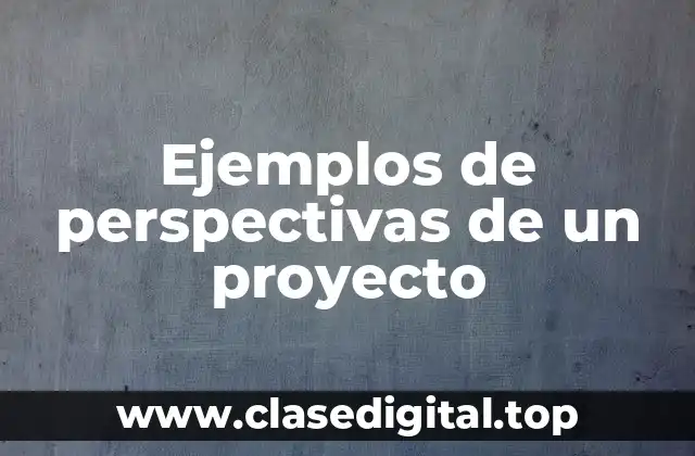Ejemplos de perspectivas de un proyecto