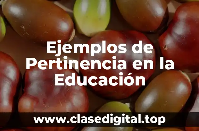 Ejemplos de Pertinencia en la Educación