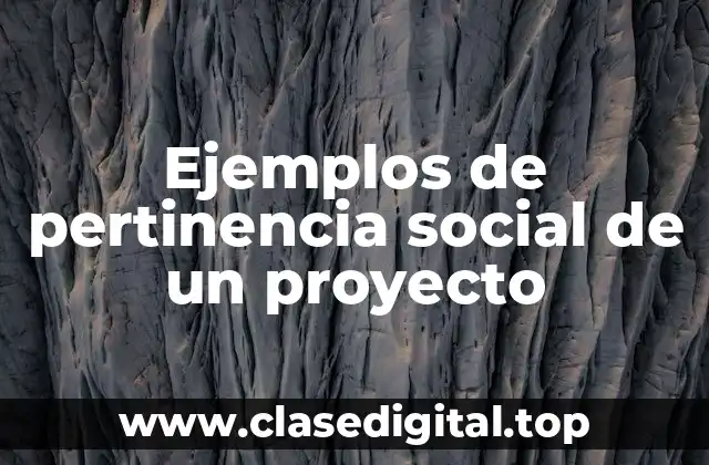 Ejemplos de pertinencia social de un proyecto