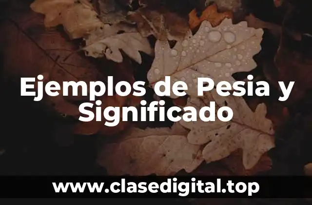 Ejemplos de Pesia y Significado