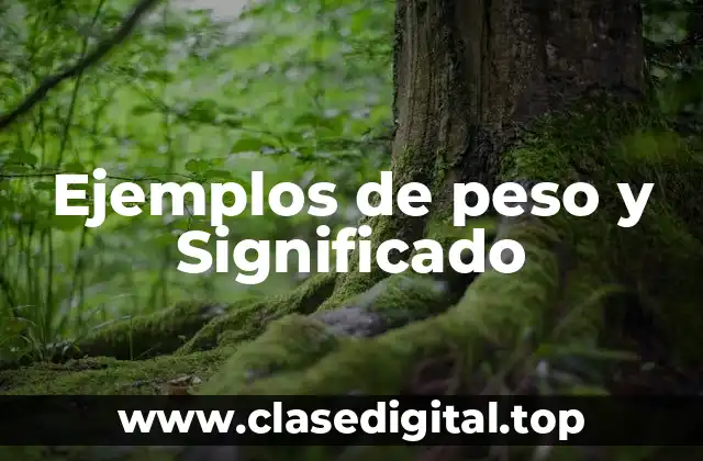 Ejemplos de peso y Significado