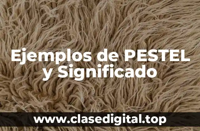 Ejemplos de PESTEL y Significado