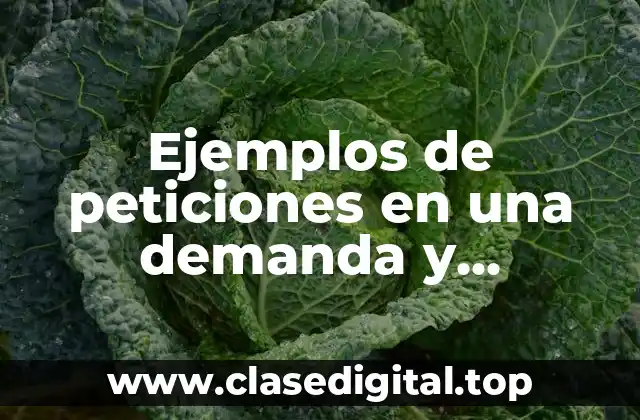 Ejemplos de peticiones en una demanda