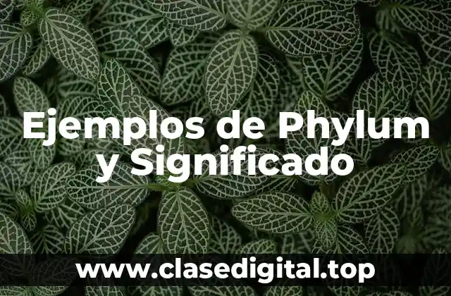 Ejemplos de Phylum y Significado