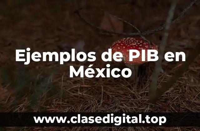 Ejemplos de PIB en México