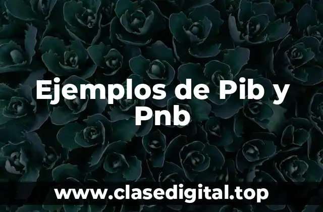 Ejemplos de Pib y Pnb
