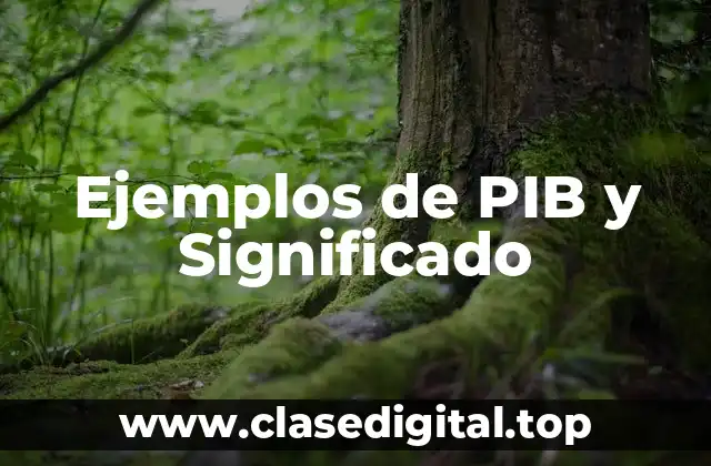 Ejemplos de PIB y Significado