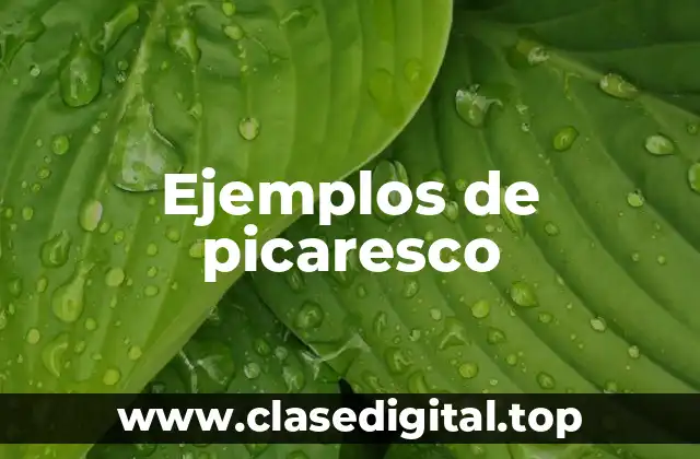Ejemplos de picaresco