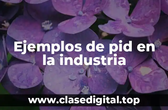 Ejemplos de pid en la industria