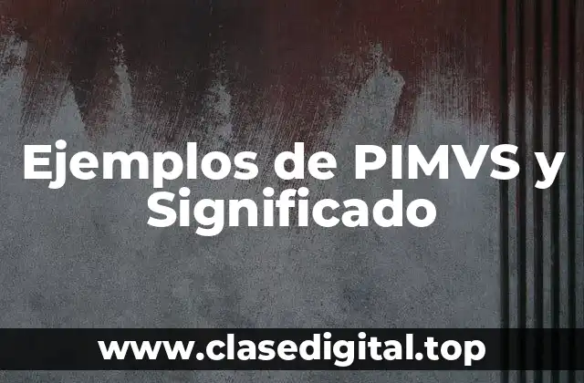 Ejemplos de PIMVS y Significado