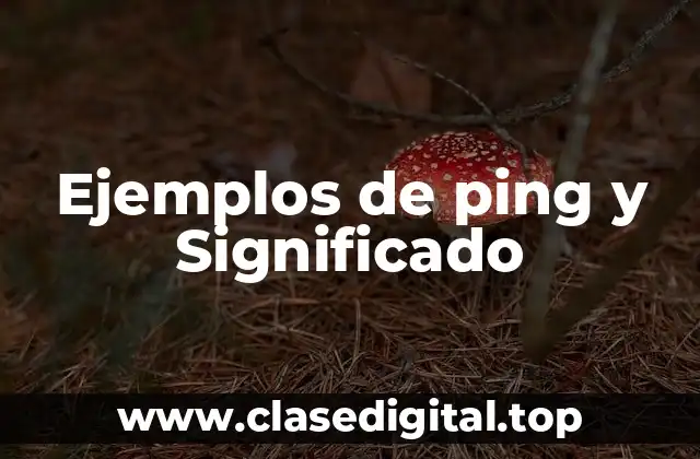 Ejemplos de ping y Significado