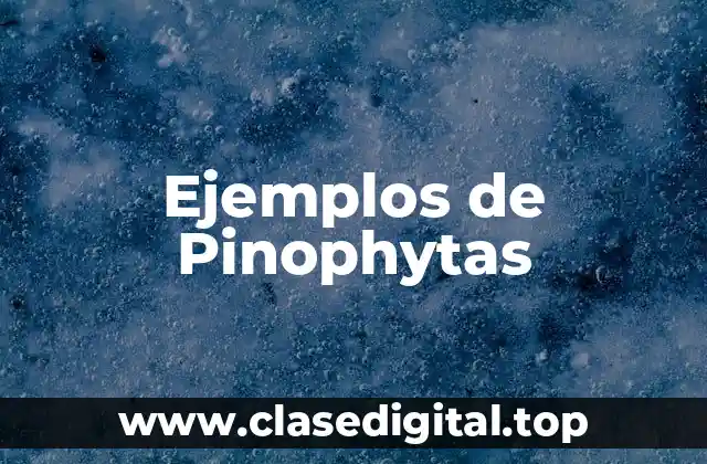 Ejemplos de Pinophytas