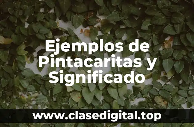 Ejemplos de Pintacaritas y Significado