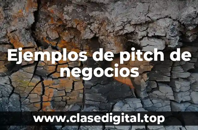 Ejemplos de pitch de negocios