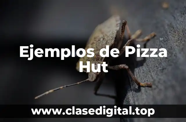 Ejemplos de Pizza Hut