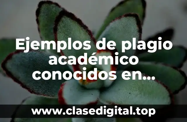 Ejemplos de plagio académico conocidos en Ecuador