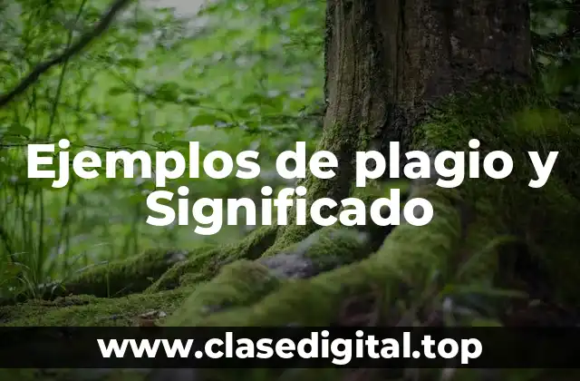 Ejemplos de plagio y Significado
