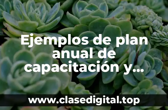Ejemplos de plan anual de capacitación y Significado