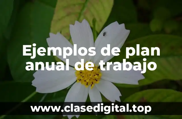 Ejemplos de plan anual de trabajo