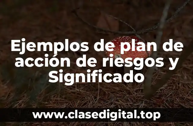 Ejemplos de plan de acción de riesgos y Significado