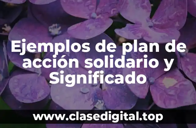 Ejemplos de plan de acción solidario y Significado