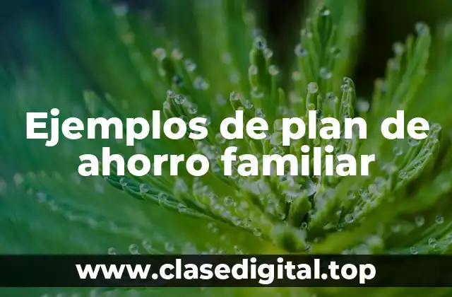Ejemplos de plan de ahorro familiar